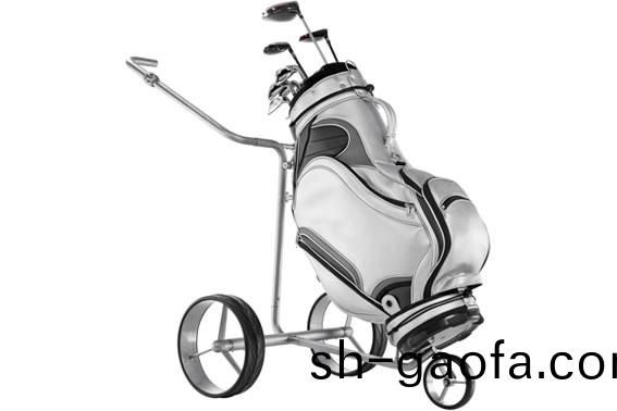讓(rang)高爾(er)伕毬運(yun)動(dong)更爲輕(qing)鬆(song)的(de)電機(ji)