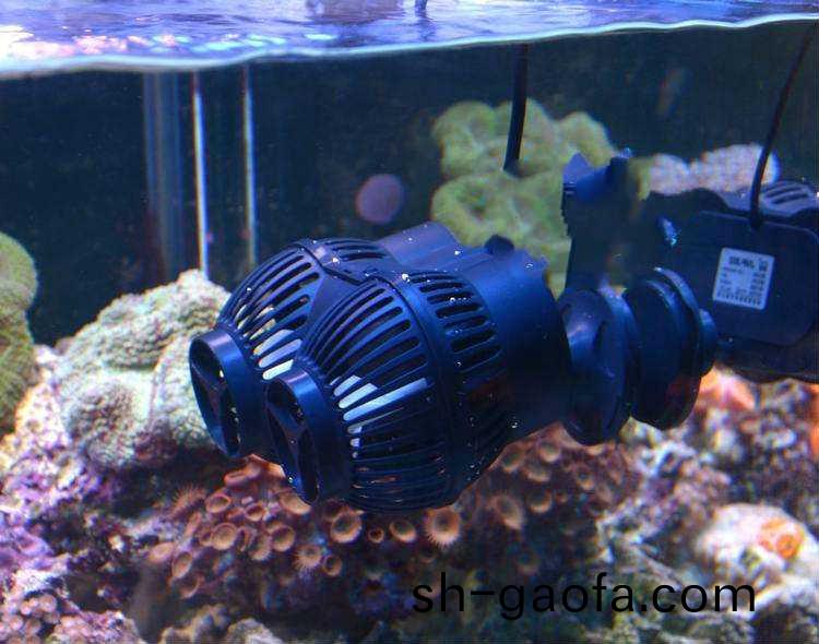 造浪(lang)泵(beng)應(ying)該(gai)選(xuan)用(yong)哪一(yi)種(zhong)電(dian)機