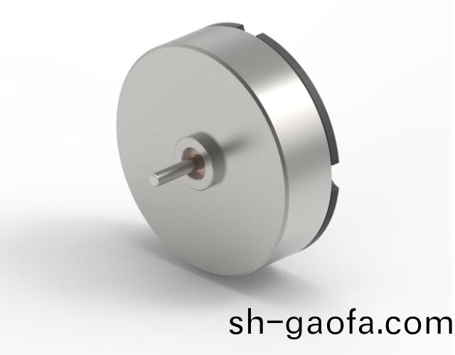 導(dao)彈(dan)舵(duo)盤執(zhi)行器(qi)用什(shen)麼(me)電(dian)機(ji)？