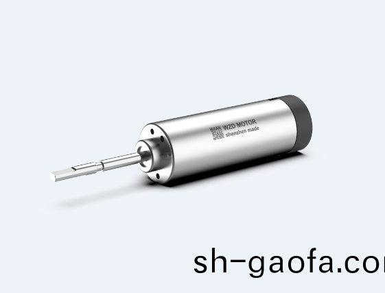 掃振(zhen)電(dian)動牙(ya)刷(shua)無(wu)刷伺(ci)服電(dian)機(ji)解(jie)決(jue)方(fang)案