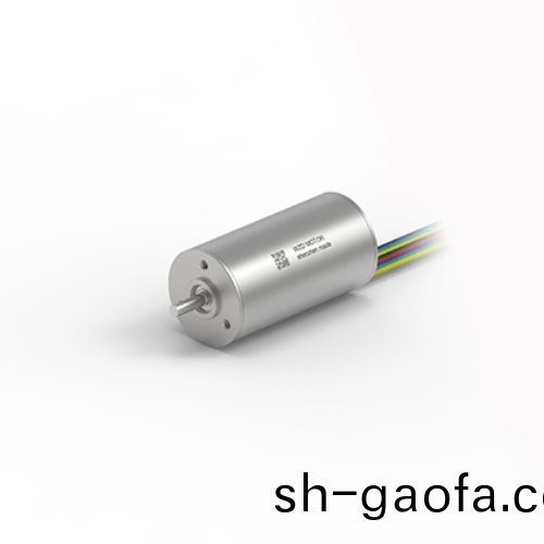 OT-ECS 2446無槽無刷直流電機