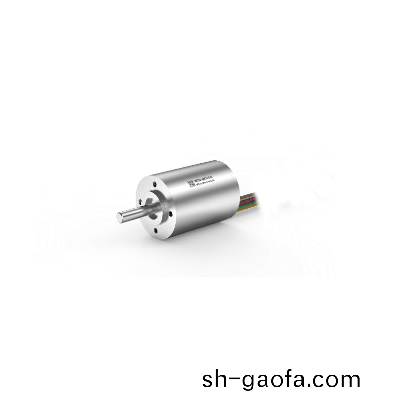 ECS-4P 3040 2對(dui)極空心桮無(wu)刷(shua)電機