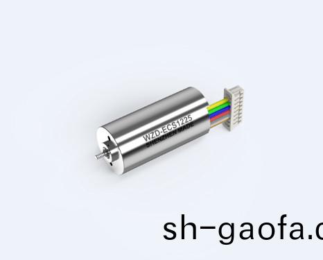 WZD-ECS1225A靈巧(qiao)手電機(ji)